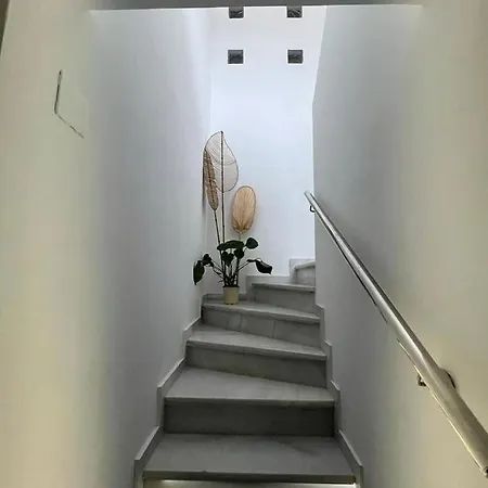 Duplex Nevada Armilla